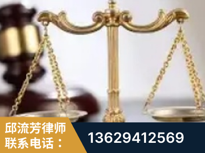 驻马店-委托诉讼代理人出庭